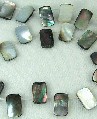 5775: Peacock shell  square beads