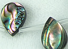 5784: Beaded Peacock abalone beads