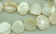 5814: Beaded White shell beads