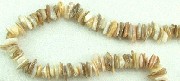 5817: Beaded Multi shell beads