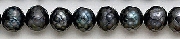 7067: Beaded peacock pearl beads