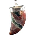 Design 1611: red jasper claw, mens pendants
