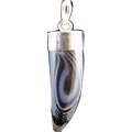 Design 5472: black,brown,white sardonyx claw, tooth pendants