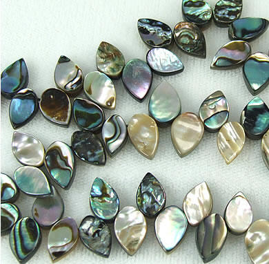 SKU 5786 - a Abalone Beads Jewelry Design image