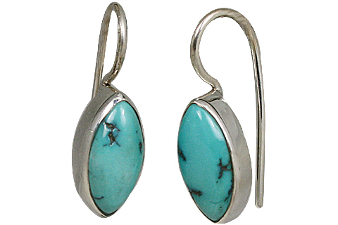 SKU 10673 - a Turquoise earrings Jewelry Design image