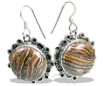SKU 12011 - a Jasper earrings Jewelry Design image
