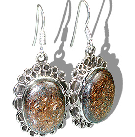 SKU 12123 - a Bronzite earrings Jewelry Design image