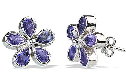 SKU 12565 - a Iolite earrings Jewelry Design image
