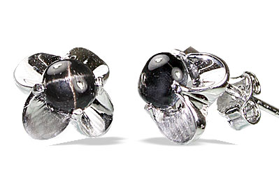SKU 12997 - a Onyx earrings Jewelry Design image