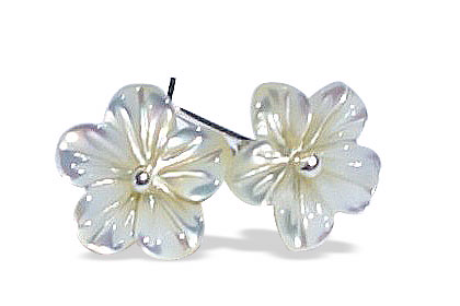 SKU 15053 - a Shell earrings Jewelry Design image