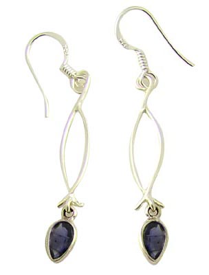 SKU 21088 - a Iolite Earrings Jewelry Design image