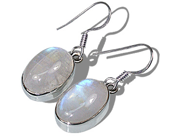 SKU 7906 - a Moonstone Earrings Jewelry Design image