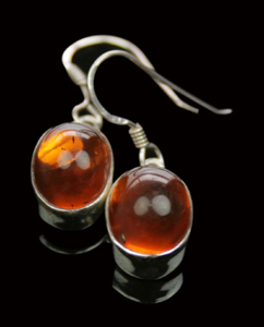SKU 7938 - a Amber Earrings Jewelry Design image