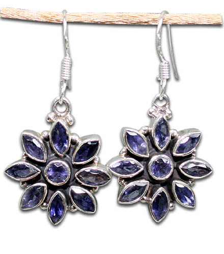 SKU 8858 - a Iolite Earrings Jewelry Design image