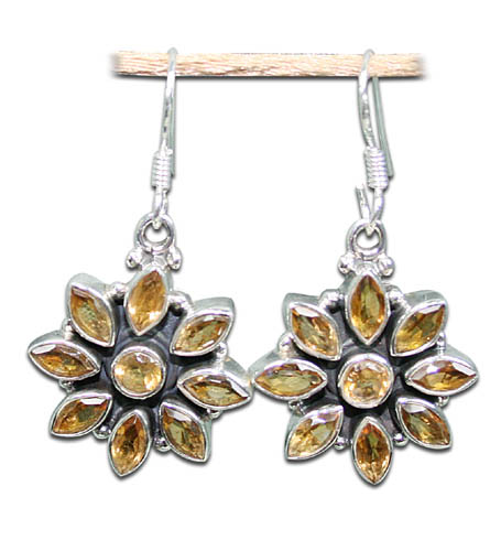 SKU 8859 - a Citrine Earrings Jewelry Design image