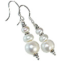11881: White pearl earrings