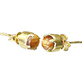 Design 12243: brown tiger eye post earrings