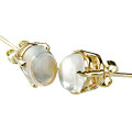 13582: Gold Plated white vermeil post earrings