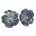 shell earrings
