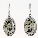 Dalmatian Jasper Contemporary earrings