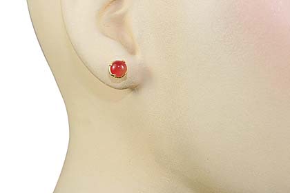 SKU 1265 unique Carnelian Earrings Jewelry