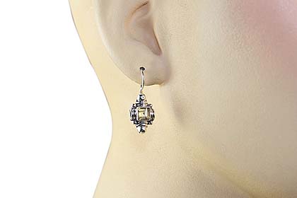 SKU 1267 unique Citrine Earrings Jewelry