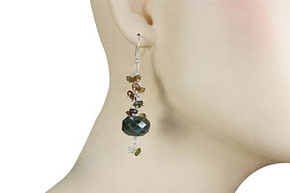 SKU 13992 unique Labradorite Earrings Jewelry