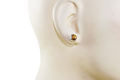 SKU 1413 unique Tiger eye Earrings Jewelry
