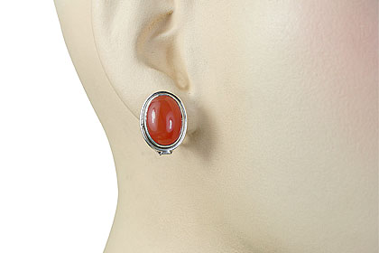 SKU 14910 unique Carnelian Earrings Jewelry