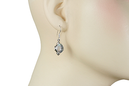SKU 1583 unique Moonstone Earrings Jewelry