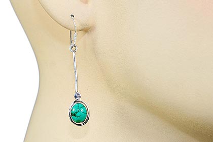 SKU 1617 unique Turquoise Earrings Jewelry