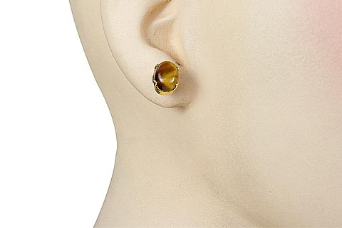 SKU 648 unique Tiger eye Earrings Jewelry