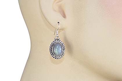 SKU 7911 unique Labradorite Earrings Jewelry