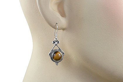 SKU 7912 unique Tiger eye Earrings Jewelry