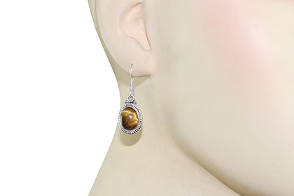 SKU 7913 unique Tiger eye Earrings Jewelry