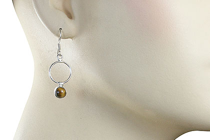 SKU 7928 unique Tiger eye Earrings Jewelry