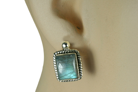 SKU 9120 unique Labradorite Earrings Jewelry