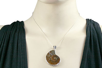 SKU 15393 unique Ammonite Pendants Jewelry
