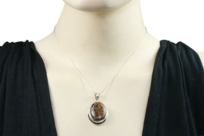 SKU 15921 unique Bronzite Pendants Jewelry
