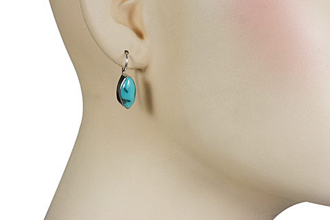 SKU 10673 unique Turquoise earrings Jewelry