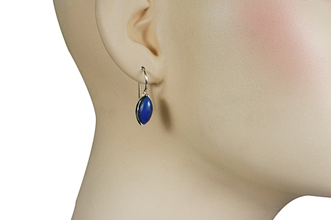 SKU 10676 unique Lapis Lazuli earrings Jewelry