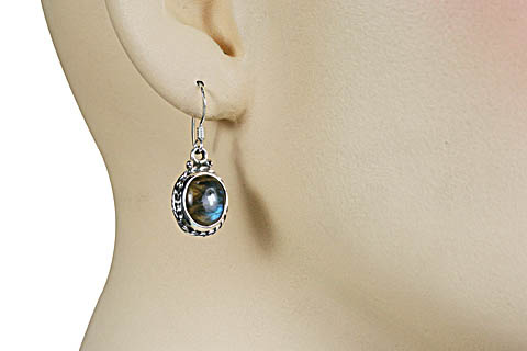SKU 10678 unique Labradorite earrings Jewelry
