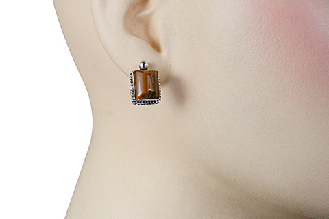 SKU 10703 unique Tiger eye earrings Jewelry