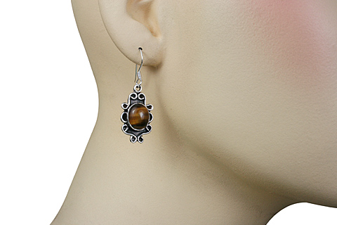 SKU 10894 unique Tiger eye earrings Jewelry