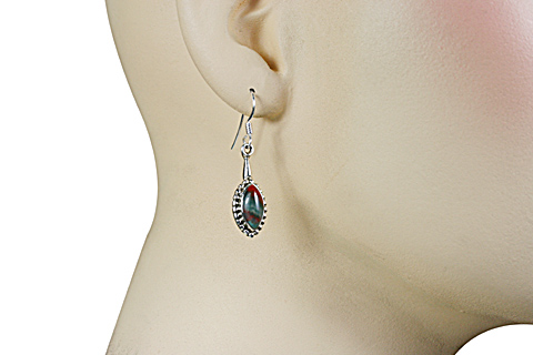 SKU 11479 unique Bloodstone earrings Jewelry
