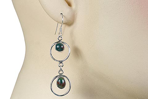SKU 11513 unique Bloodstone earrings Jewelry