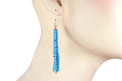 SKU 11848 unique Turquoise earrings Jewelry