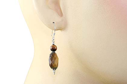 SKU 11899 unique Tiger eye earrings Jewelry