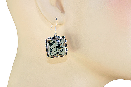 SKU 12005 unique Dalmatian Jasper earrings Jewelry