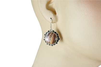 SKU 12011 unique Jasper earrings Jewelry